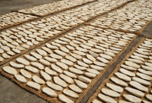 Gaplek: Pangan Tradisional yang Bangkit Kembali